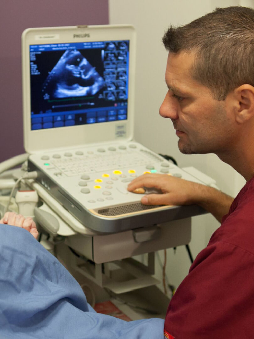 Echocardiography in process, photo